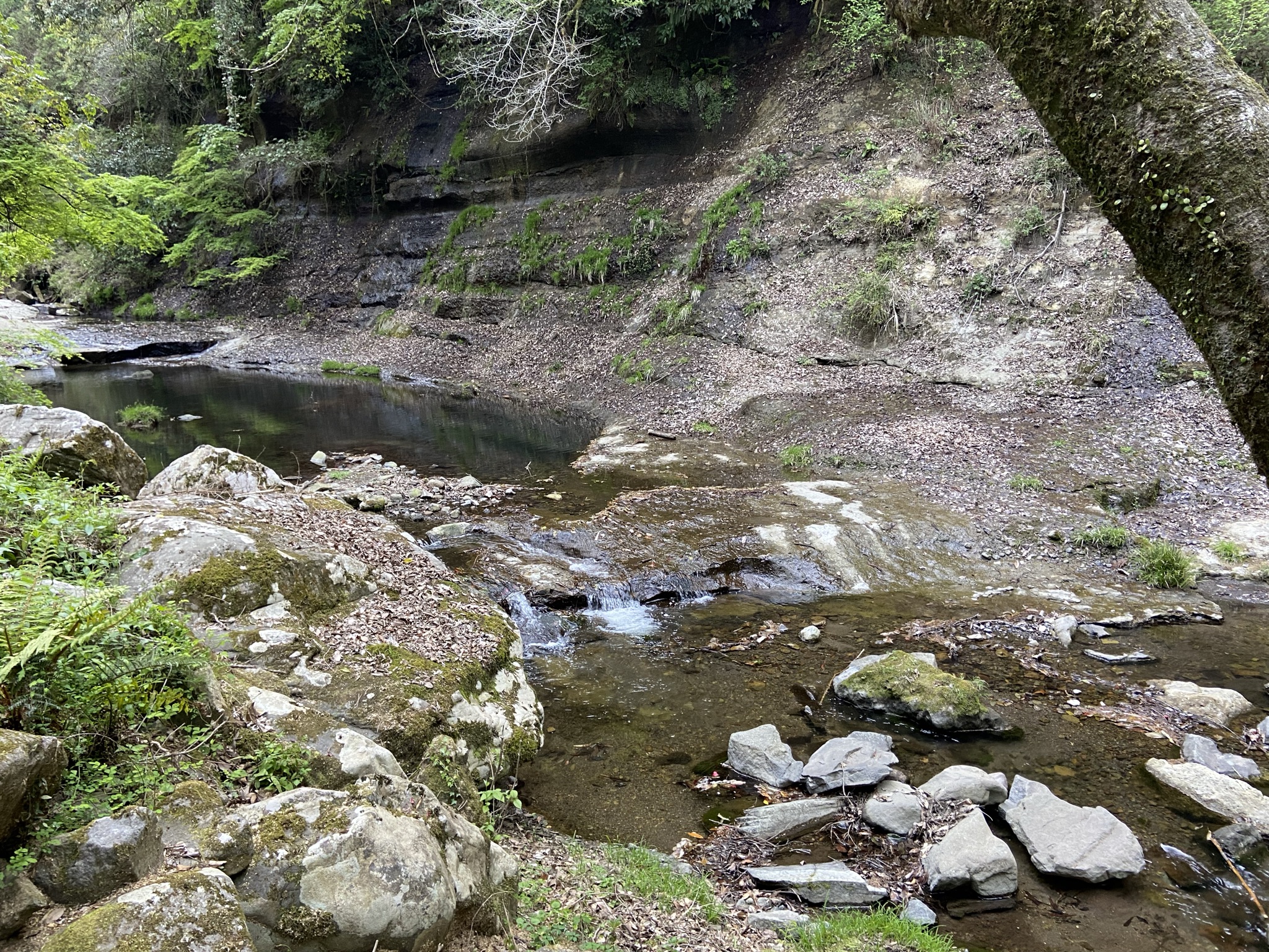 東椎屋の滝